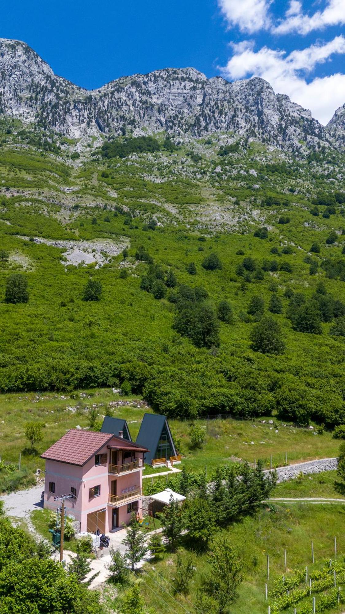 Arditi'S Villa Shkodër 外观 照片